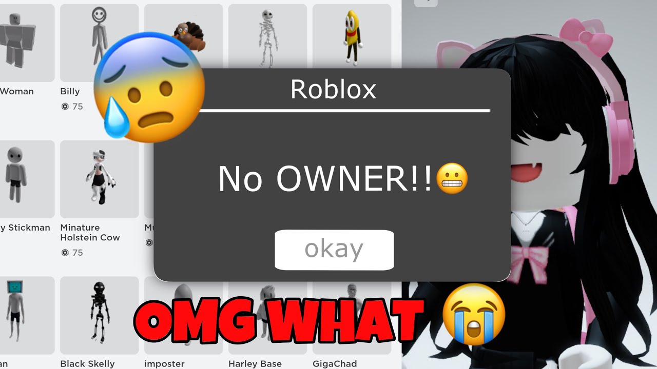 WHAT IF ROBLOX HAS NO OWNER YouTube 