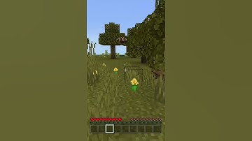 When your chunks don’t load