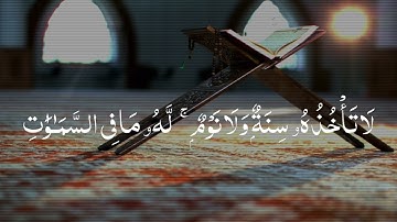 القران الكريم 🌿 أية الكرسي🍃بصوت القارئ الشيخ ﴿ياسر الدوسري ﴾#ياسر_الدوسري #مكة #الحج #اكسبلور