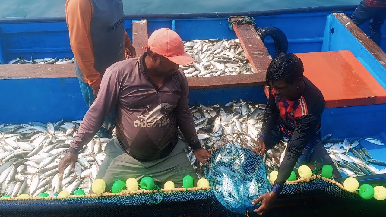 Kitna Yaila macchi pakra dekho aplok🐠🐠😱😱