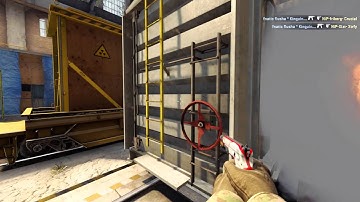DreamHack Open Summer 2015: flusha vs. NiP