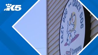 Lazy Dog Crazy Dog daycare shutters after threats following animal cruelty charge
