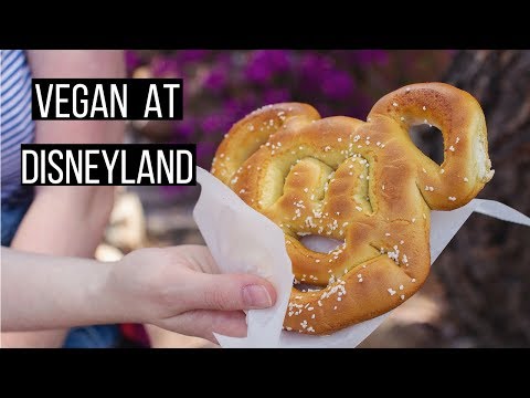 What I Eat in a Day! Vegan at Disneyland