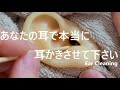 【ASMR】あなたの耳で本当に耳かきさせて下さい Ear Cleaning 【No Talking】
