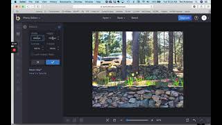 How To Resize An Image In Befunky Com