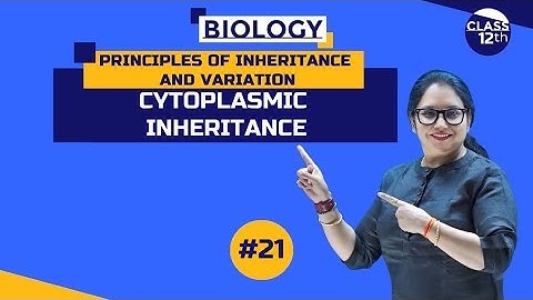 Cytoplasmic Inheritance | Principles of Inheritance and Variation |#Class12th| Part 21|#NEET| #CBSE|
