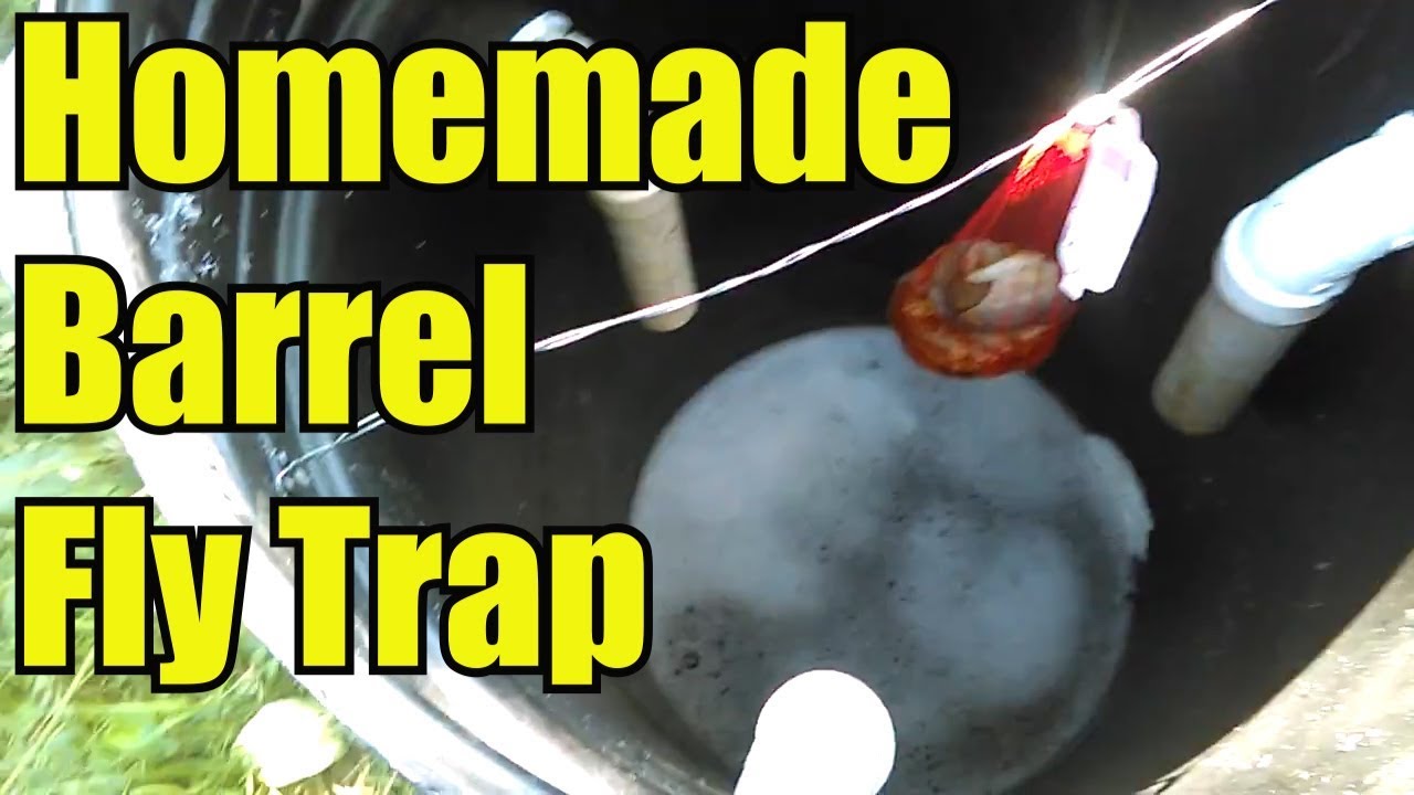 Homemade Barrel Fly Trap (Amazing Results Just In Just Days) 
