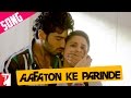 Aafaton ke parinde  song  ishaqzaade