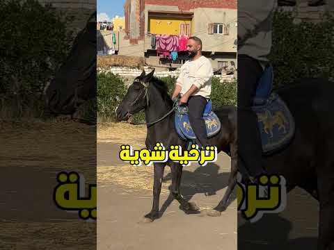 تعلمت ركوب الخيل