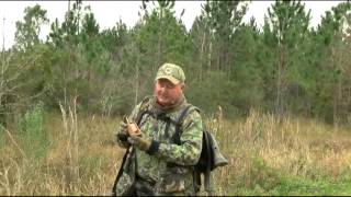 Turkey Push-Pull Call, Simple, Effective