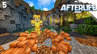The Frogs Tried to Eat Me... - AfterLife 5: Ep. 5 (Minecraft SMP) @Blondskunk