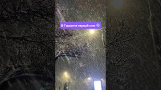 В Ташкенте Пошел Долгожданный Первый Снег