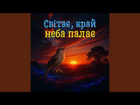 Світає, край неба палає