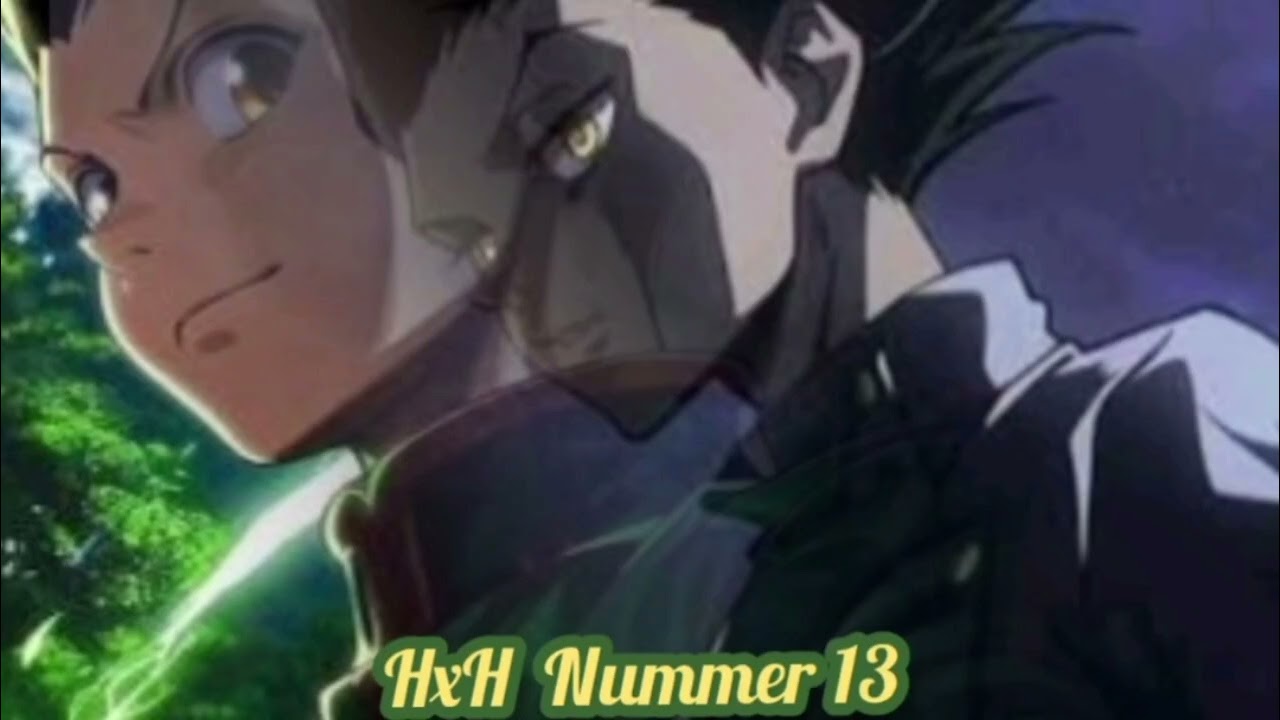 HxH Fanfiction Wattpad Story: Nummer 13 (Through you) English Version