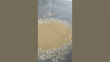 Customers Diff fluid looks more like mud than oil