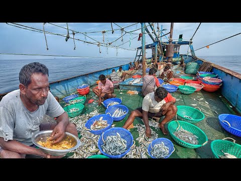 Great‼️Non-Stop Action! Huge Variety of Fish Caught Deep Sea Fishing💢‼️