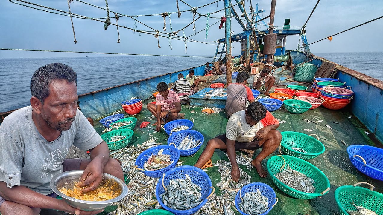 Great‼️Non-Stop Action! Huge Variety of Fish Caught Deep Sea Fishing💢‼️