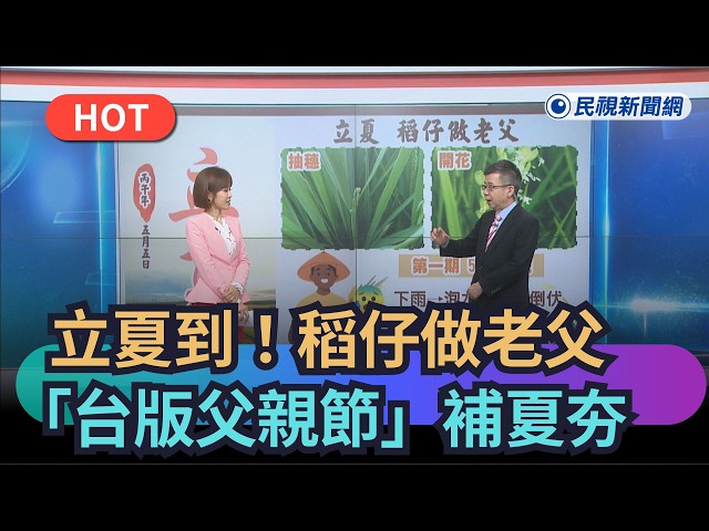 【熱搜新聞】立夏到！稻仔做老父　「台版父親節」補夏夯｜民視新聞｜
