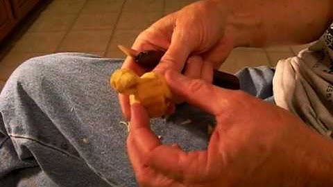 Whittling The Minature Duck Decoy (Conclusion)
