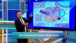 Adet Düzensizliği Neden Olur? Balçiçek Ile Dr. Cankurtaran 52. Bölüm