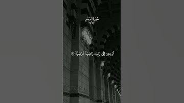 #راحة_نفسية #ارح_قلبك #تلاوة_خاشعة #ماهر_المعيقلي #quran