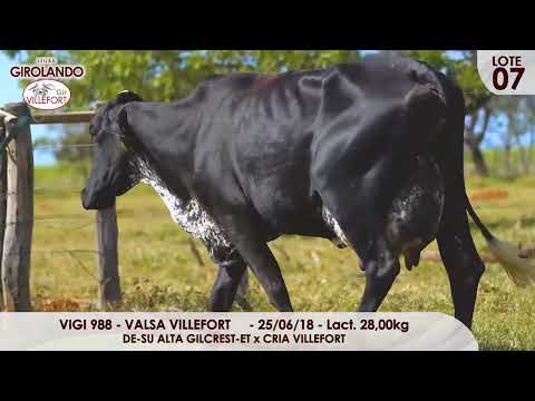 Lote 07   VIGI 988