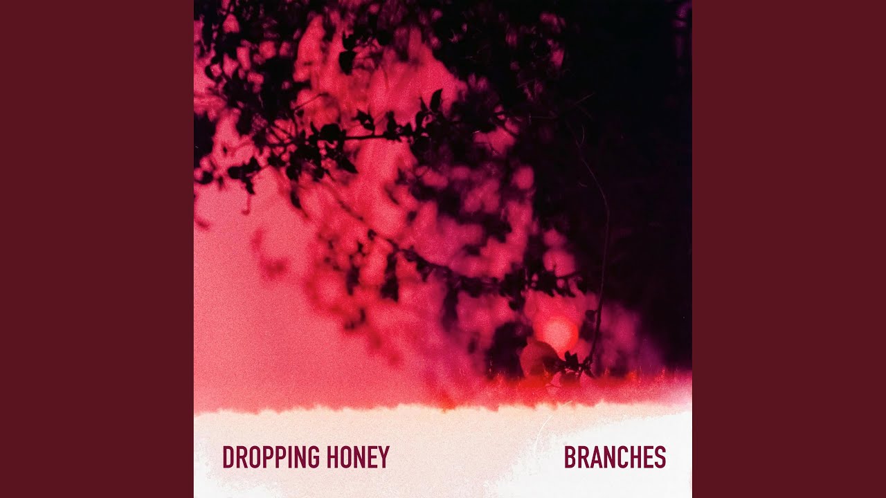 Branches adlı videoyu YouTube'da izle Branches adlı videoyu YouTube'da izle