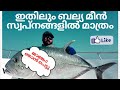 The extreme fishing journey /ഒരു ചൂണ്ടയിടൽ അപാരത / gt fishing , tuna fishing , monster shark fishing