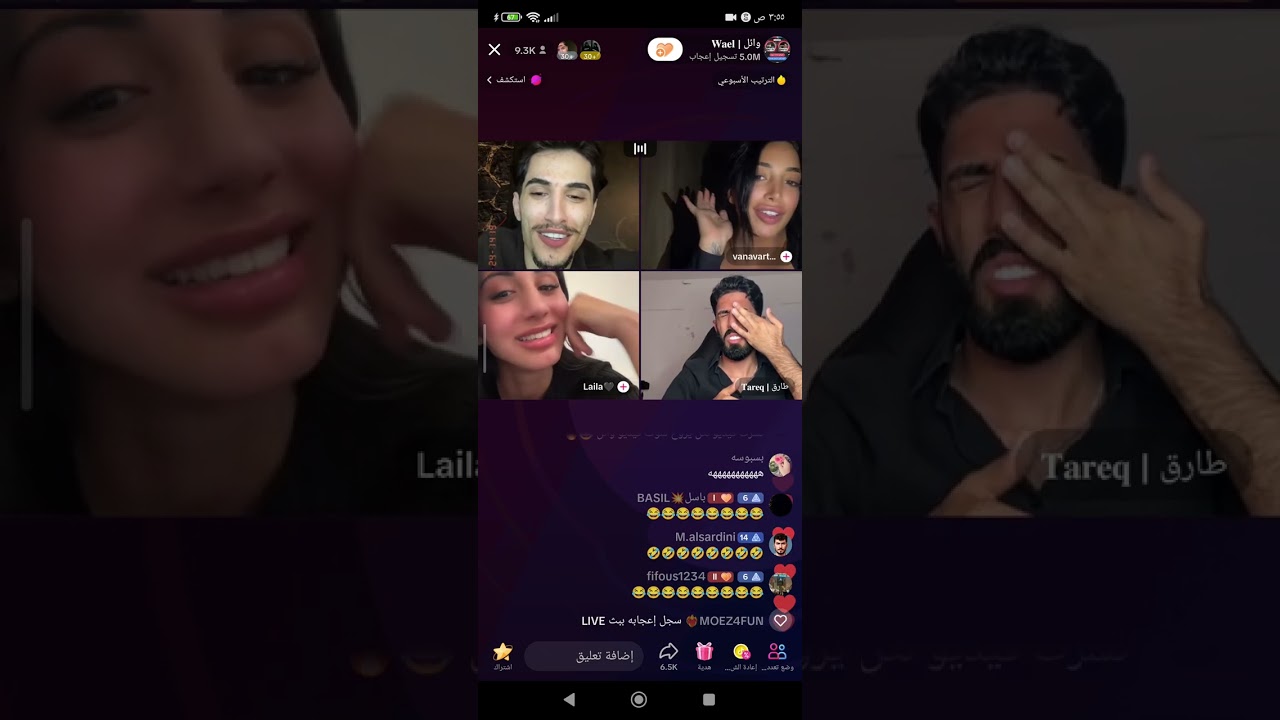 وائل و طارق و ليلى