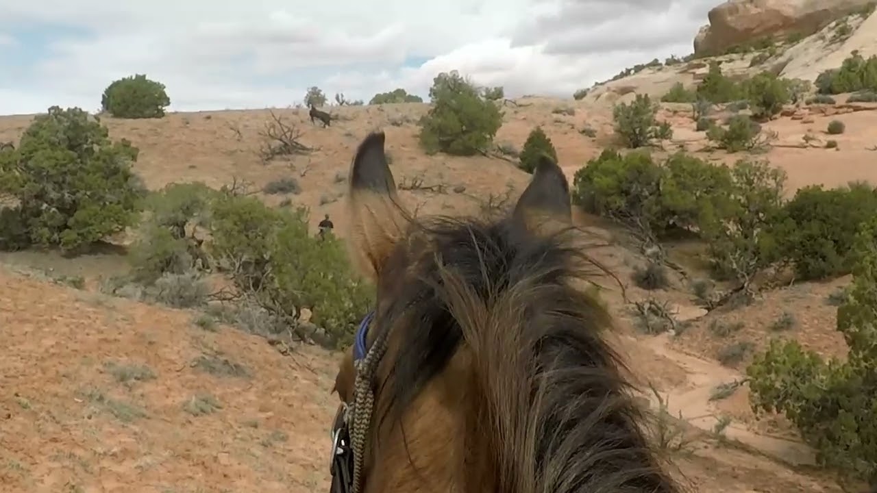 Where to ride in Utah   South East