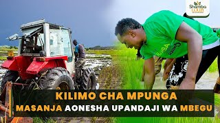 Kilimo cha Mpunga :Masanja akionesha kwa vitendo upandaji wa mbegu