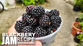 Simple 3-Ingredient Blackberry Jam (Better Than Store-Bought!)  - All Natural recipe