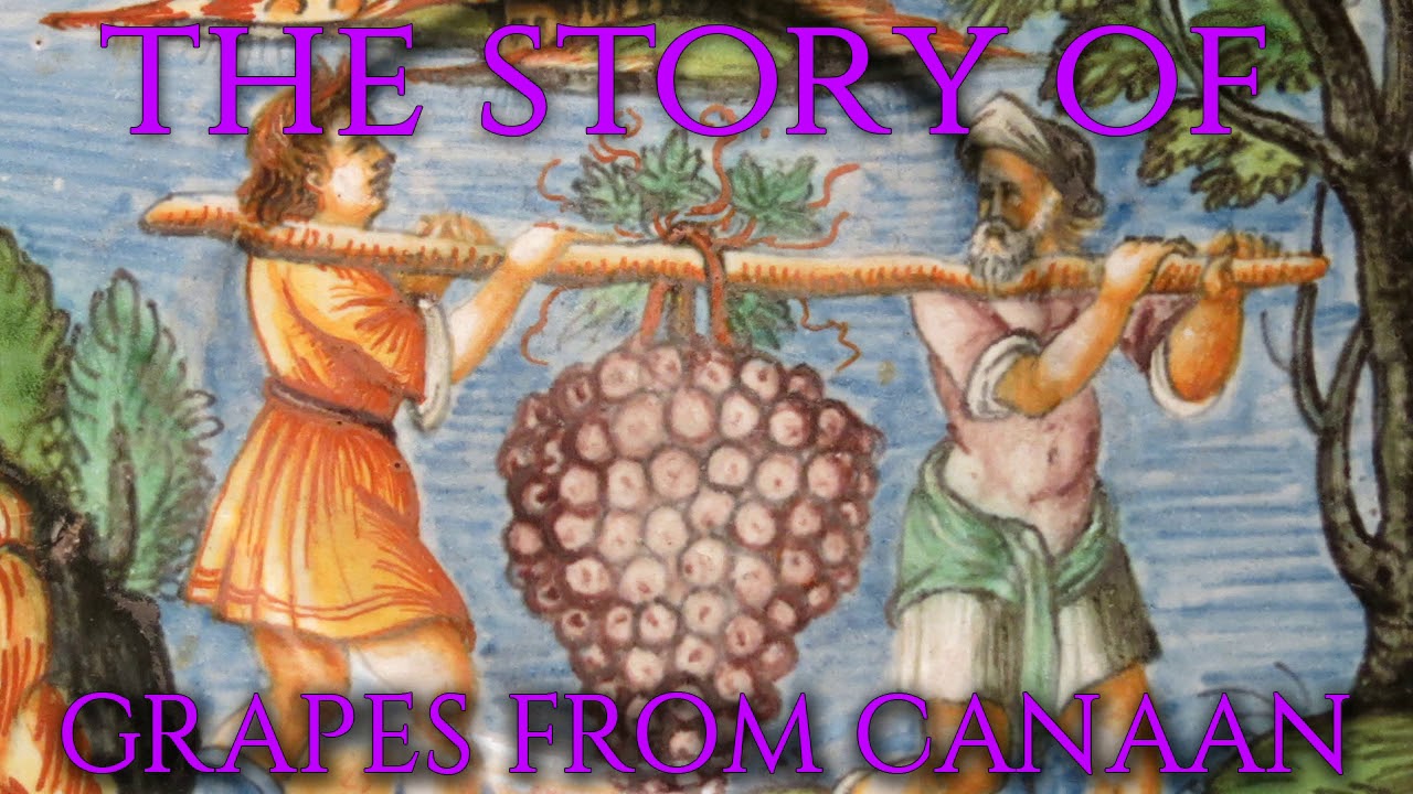 THE STORY OF THE GRAPES FROM CANAAN YouTube