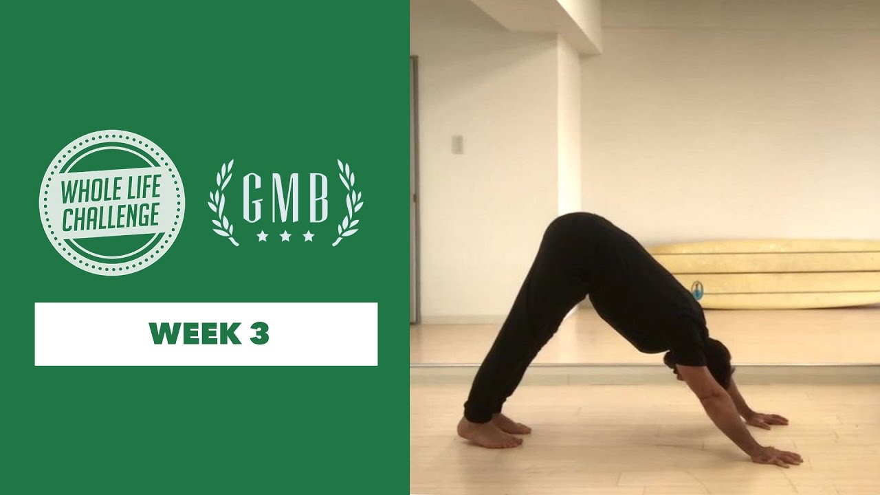 gmb fitness