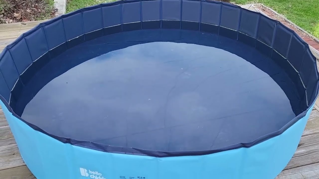 BELLOCHIDDO Foldable Dog Pool - Hard Plastic Pool Review, A perfect pool for playful pups