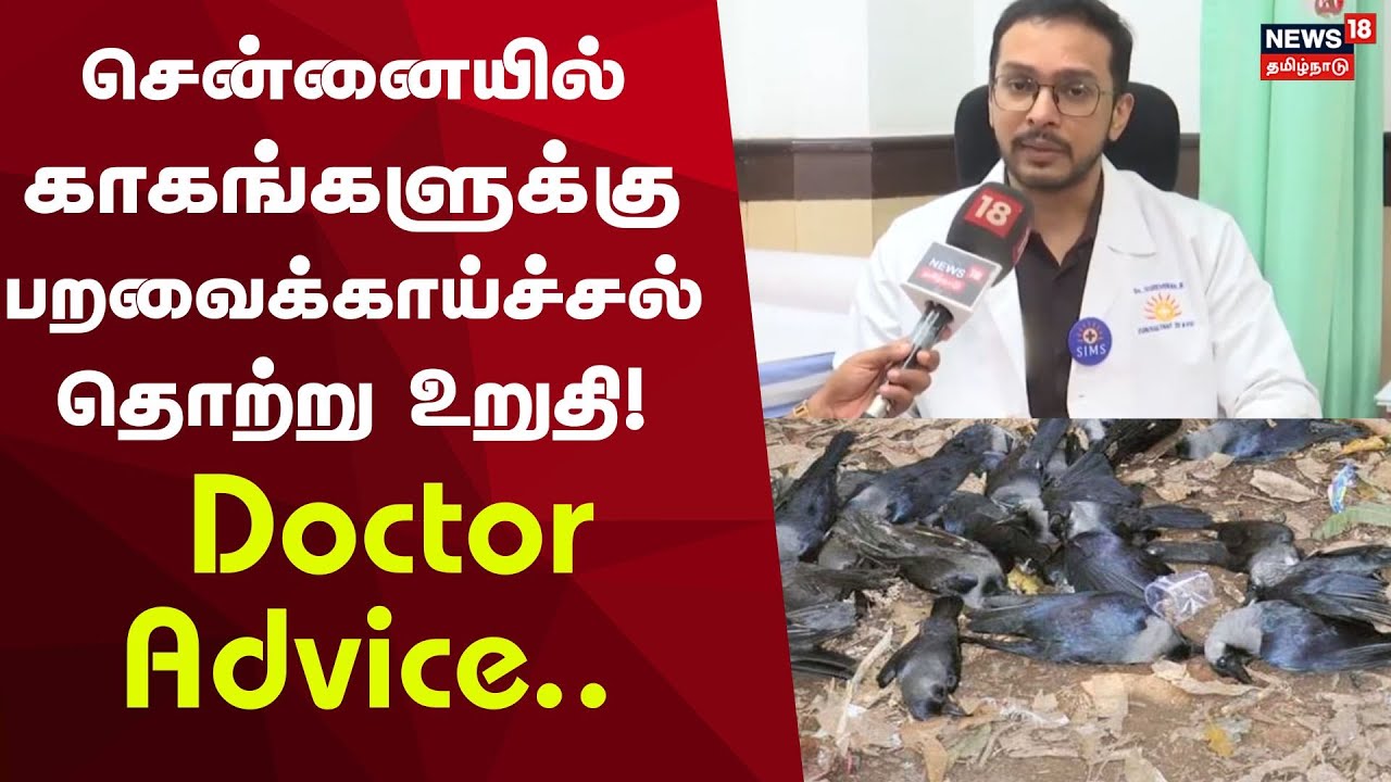 Bird flu In Chennai | சென்னையில் காகங்களுக்கு பறவைக்காய்ச்சல் தொற்று உறுதி!
