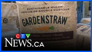 Golden Acre Home & Garden: All about mulch