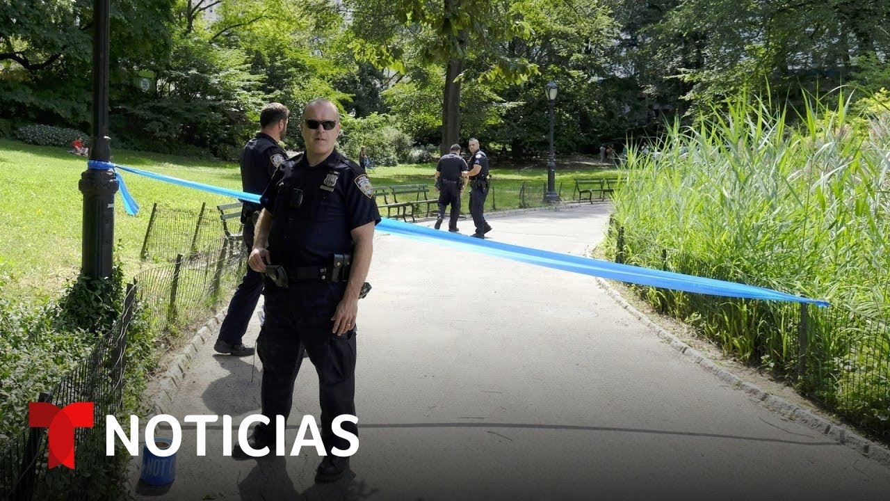 Refuerzan seguridad en el Central Park ante ola de atracos | Noticias Telemundo