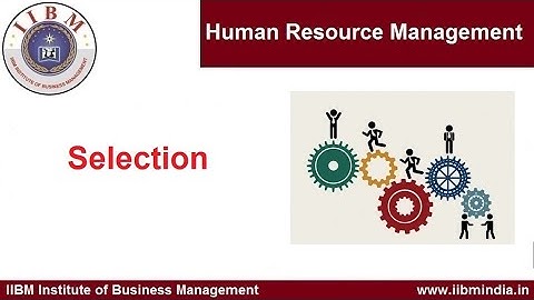 IIBM Institute | Human Resource Management | Selection