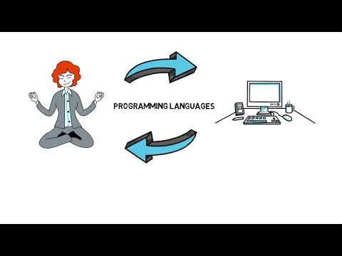 What is a Software Program ?  How does the computer understand it ?