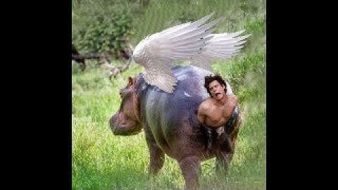 Last Epoch - Rogue Leveling