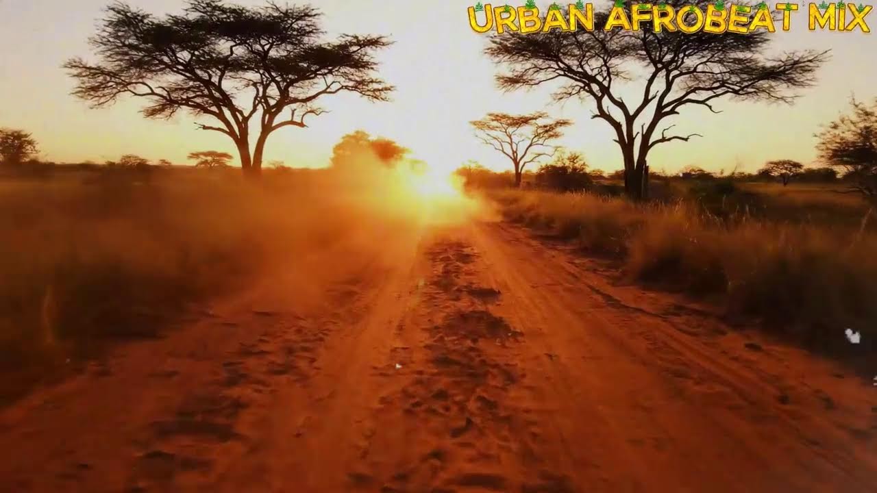 African Chill Music Live – Afrobeat & Amapiano for Focus and Relax