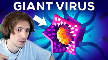 This Virus Shouldn
