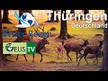 Besser Reisen - Thüringen #BesserReisen #TravelVideo #Thüringen