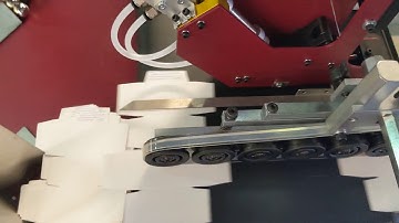 Mollti-Taper System - Straight Line Carton being Taped