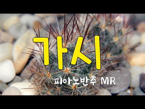 히즈윌  ㅡ 가시  낮은키 (장진숙 사,곡) Bb  key 피아노반주 MR