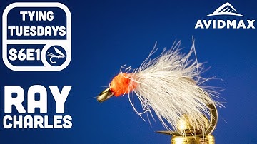 How to tie the Ray Charles | AvidMax Fly Tying Tuesday Tutorials