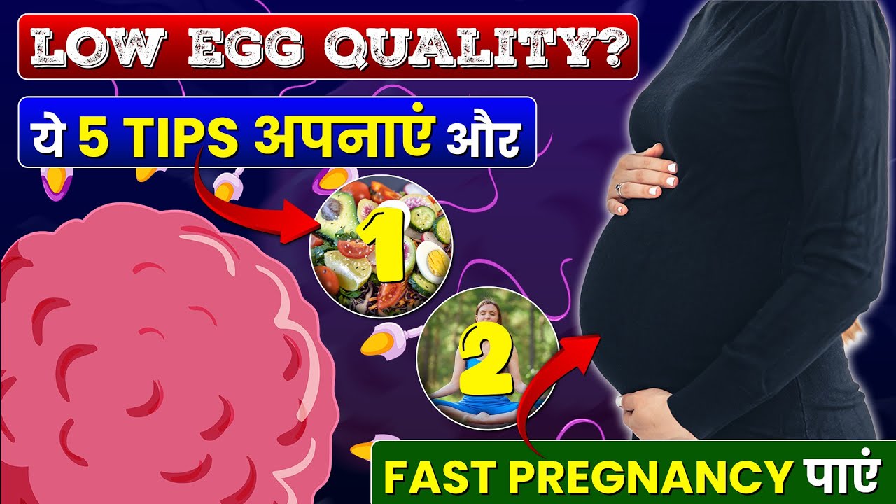 What Experts Don't Want You to Know About Low EGG Quality
