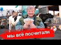 Сколько мы заработали на хозяйстве за 6 мес. Наш основной источник дохода. Наша жизнь в деревне.