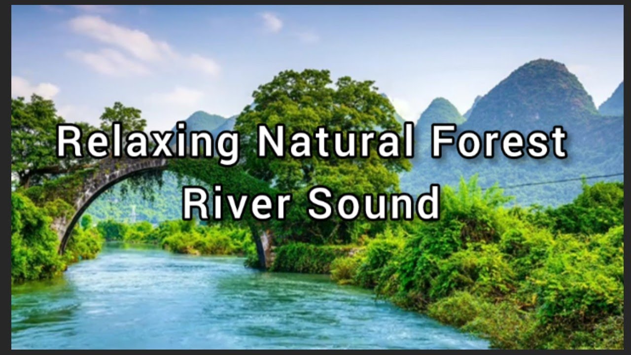 Relaxing Natural River Sounds - Soothing Forest River - 2 Hours Long ...